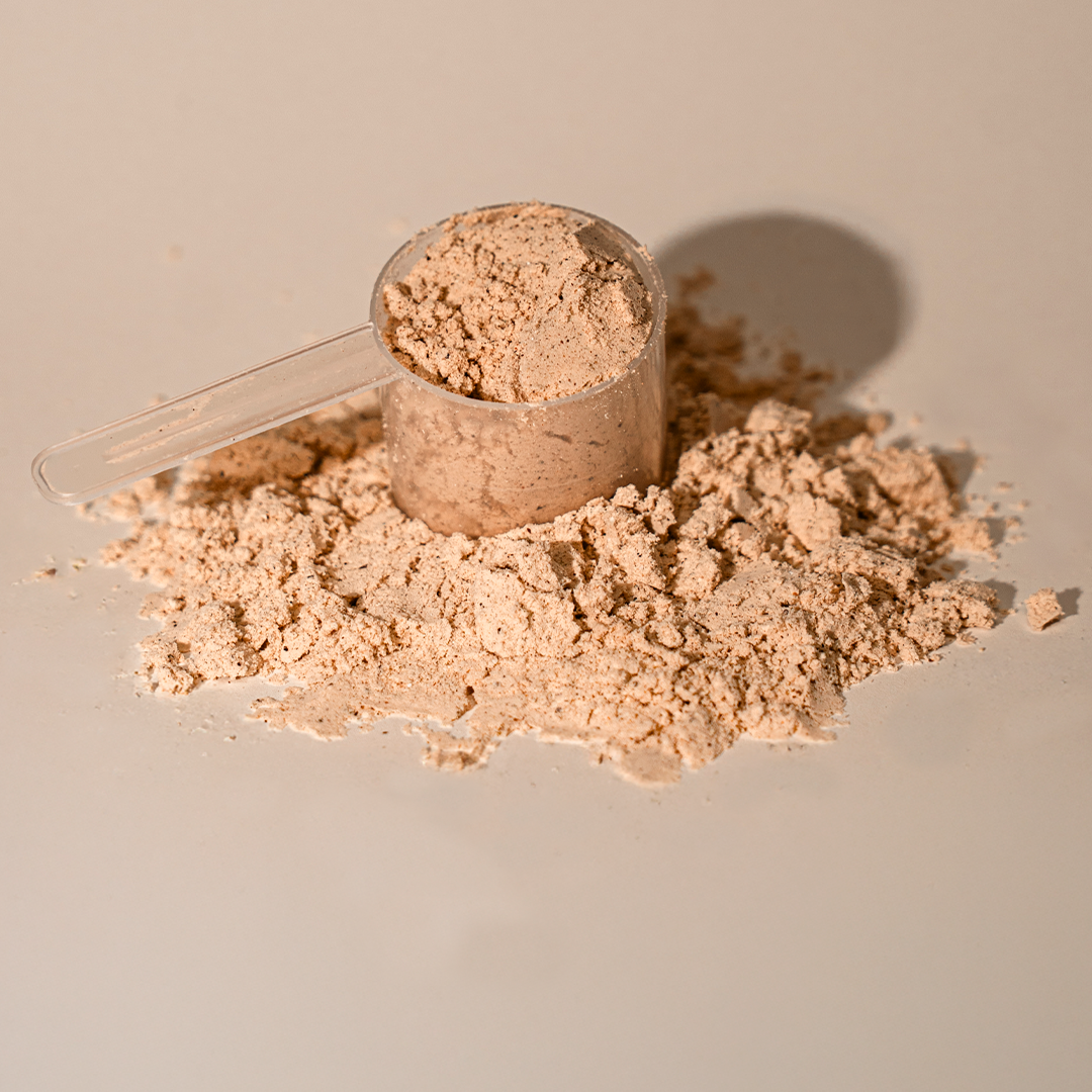 Foundation Protein — Vainilla