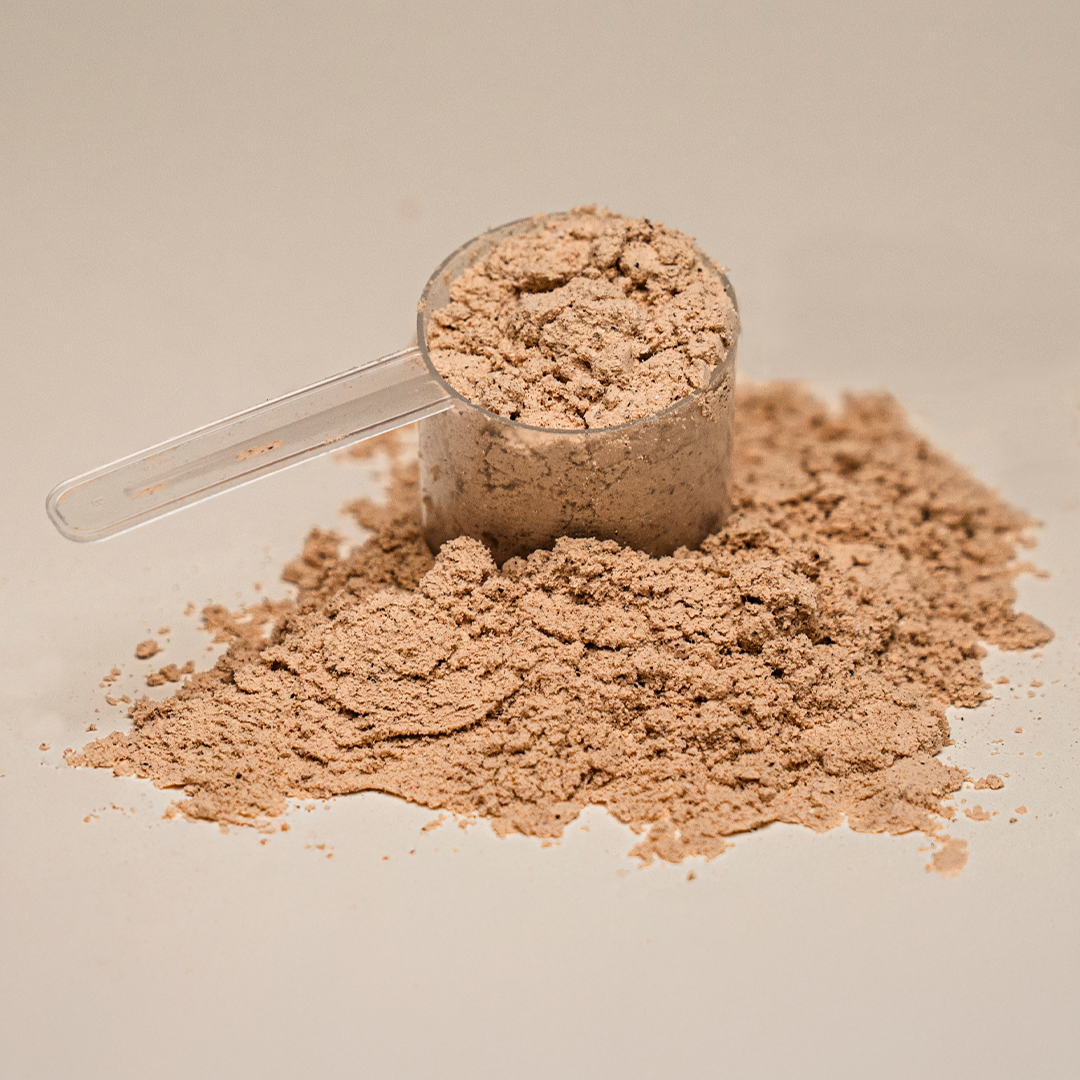 Foundation Protein — Natural
