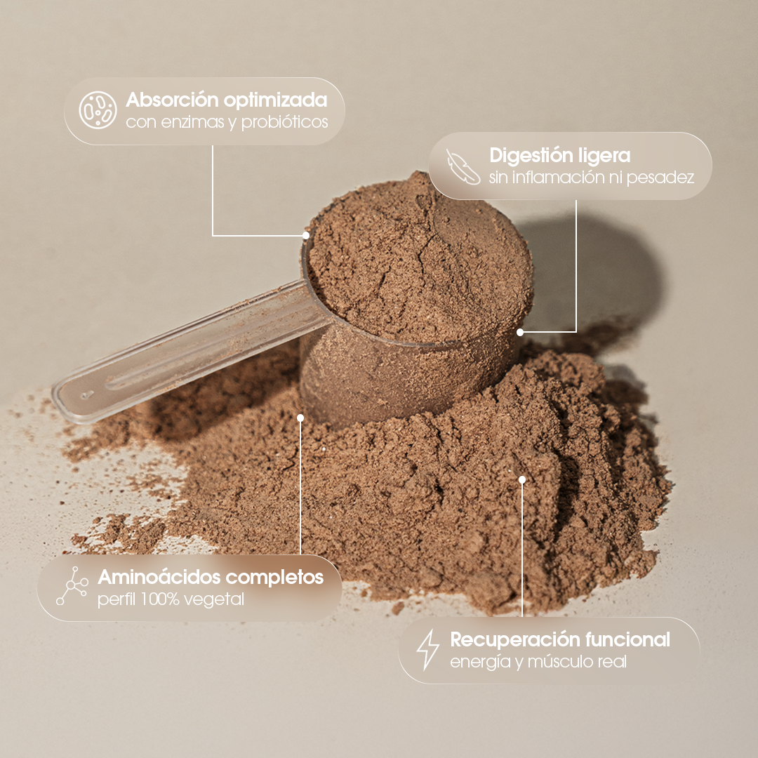 Foundation Protein — Cacao