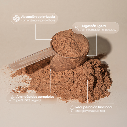 Foundation Protein — Cacao