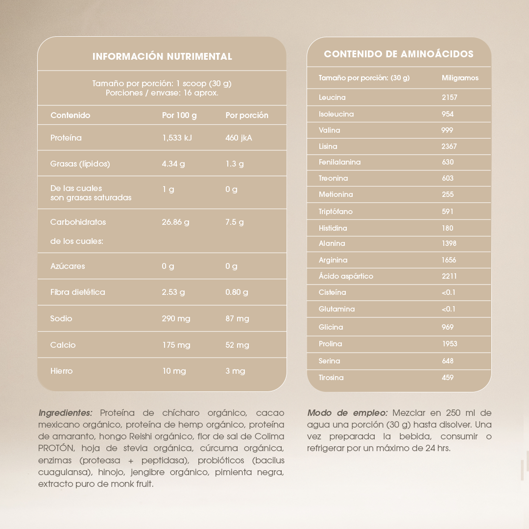Foundation Protein — Cacao