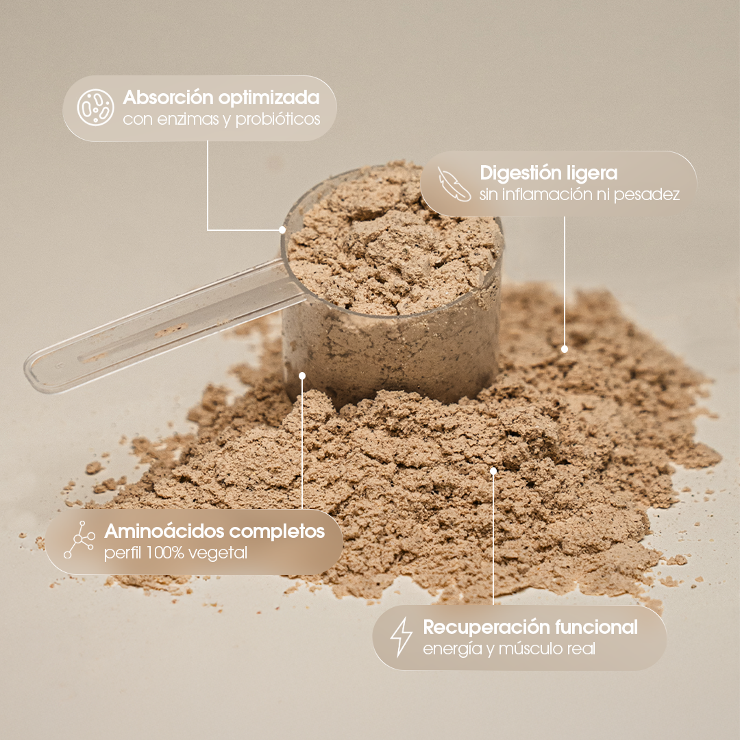 Foundation Protein — Natural