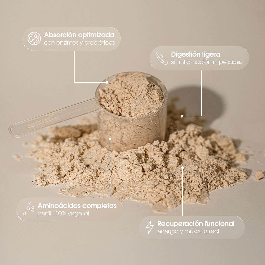 Foundation Protein — Vainilla