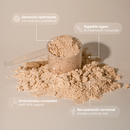 Foundation Protein — Vainilla